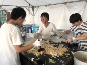 2017fes02